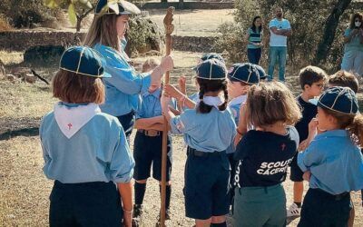Descubrir, Construir, Transformar: las tres etapas de ALMA